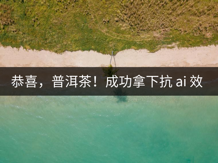 恭喜，普洱茶！成功拿下抗 ai 效果第二名！
