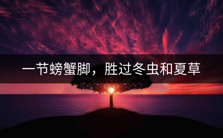 一節(jié)螃蟹腳，勝過冬蟲和夏草