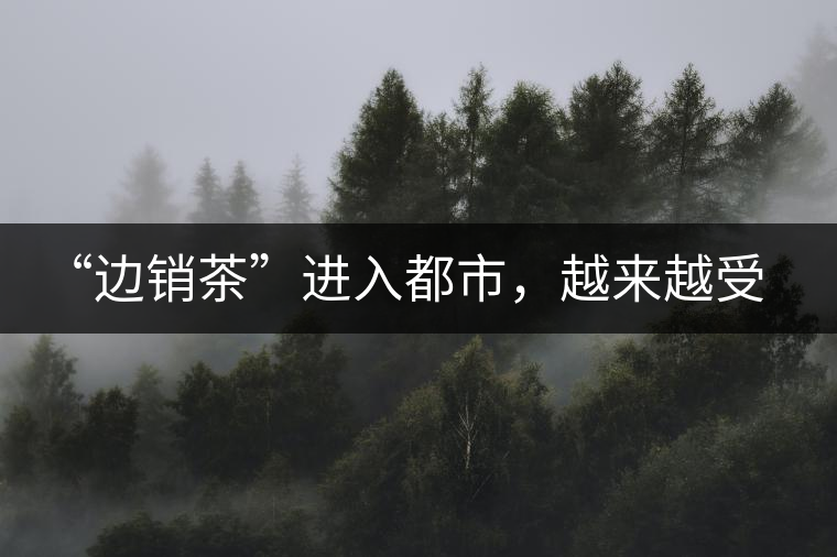 “邊銷茶”進(jìn)入都市，越來越受人們青睞