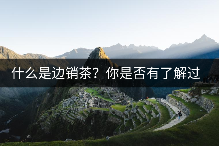 什么是邊銷茶？你是否有了解過邊銷茶呢？
