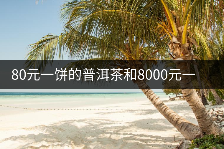 80元一餅的普洱茶和8000元一餅的普洱茶差別在哪里? 80元一餅的普洱茶和8000元一餅的普洱茶差別在哪里?