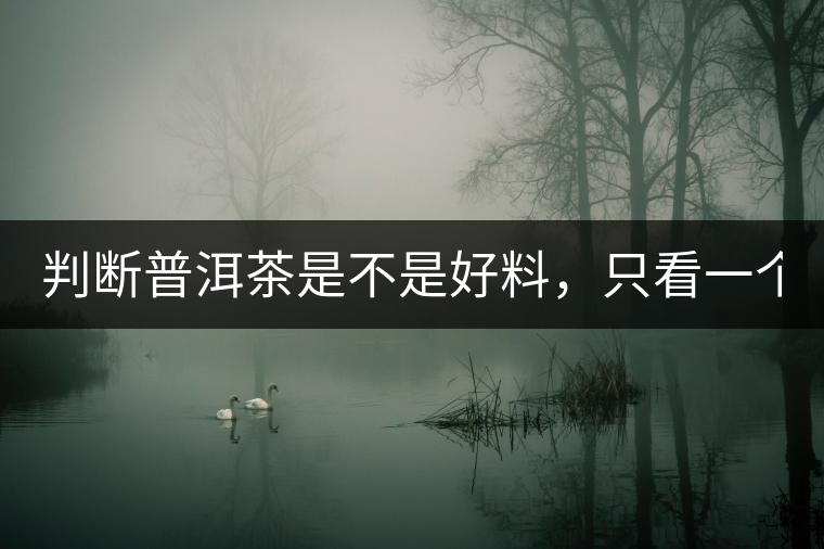 判斷普洱茶是不是好料，只看一個(gè)地方！