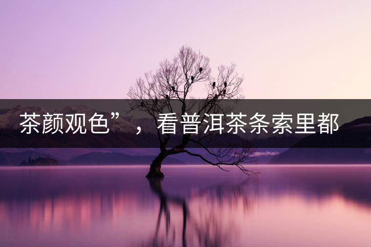茶顏觀色”，看普洱茶條索里都蘊(yùn)含著怎樣的“密碼”？