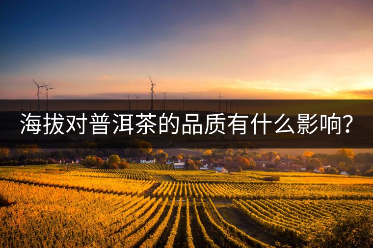 海拔對(duì)普洱茶的品質(zhì)有什么影響？
