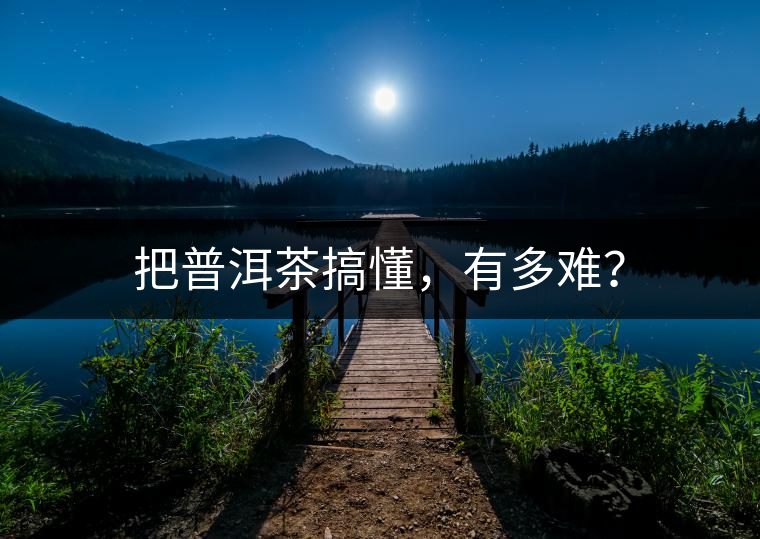 把普洱茶搞懂，有多難？