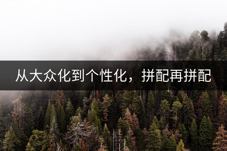 從大眾化到個(gè)性化,拼配再拼配 從大眾化到個(gè)性化,拼配再拼配