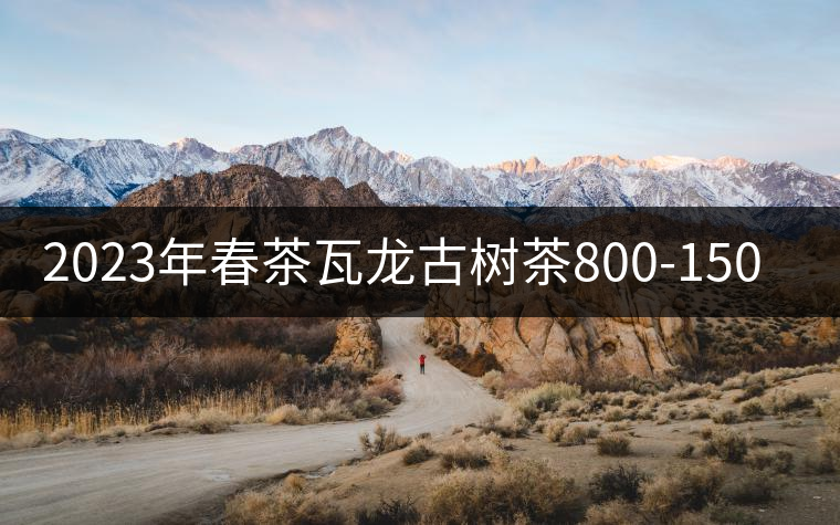 2023年春茶瓦龍古樹(shù)茶800-1500元/公斤 2023年春茶瓦龍古樹(shù)茶800-1500元/公斤
