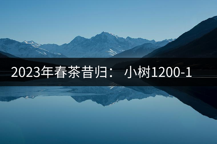 2023年春茶昔歸： 小樹1200-1600元／公斤，大樹4500-5200元／公斤，古樹7500-9000元／公斤.