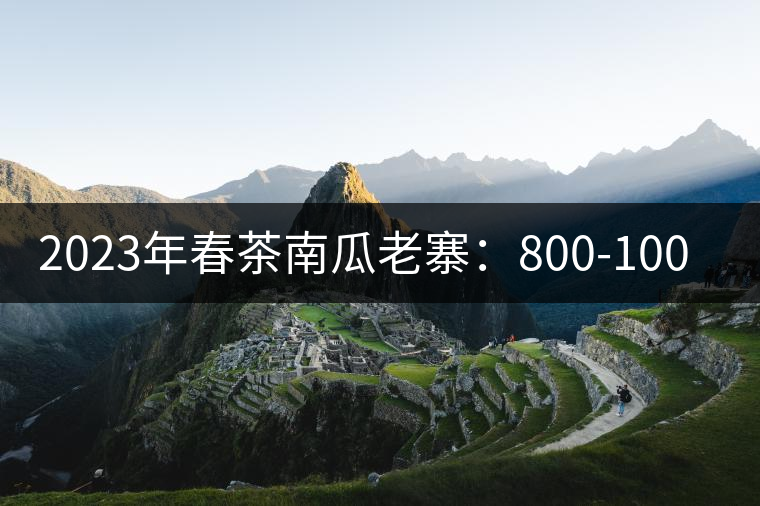2023年春茶南瓜老寨:800-1000元/公斤 2023年春茶南瓜老寨:800-1000元/公斤