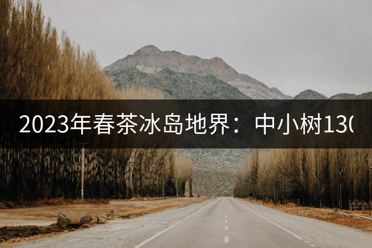 2023年春茶冰島地界：中小樹1300-1500元／公斤，古樹2200~2500元／公斤