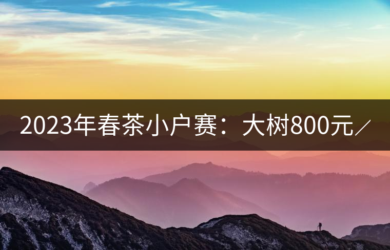 2023年春茶小戶(hù)賽:大樹(shù)800元/公斤,古樹(shù)1200-1300元/公斤 2023年春茶小戶(hù)賽:大樹(shù)800元/公斤,古樹(shù)1200-1300元/公斤