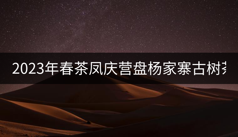 2023年春茶鳳慶營盤楊家寨古樹茶:1500-2500元/公斤 2023年春茶鳳慶營盤楊家寨古樹茶:1500-2500元/公斤