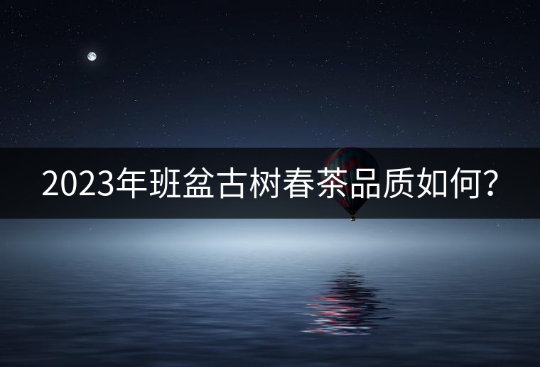 2023年班盆古樹春茶品質(zhì)如何？