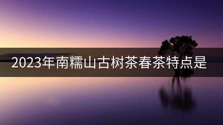 2023年南糯山古樹(shù)茶春茶特點(diǎn)是什么？