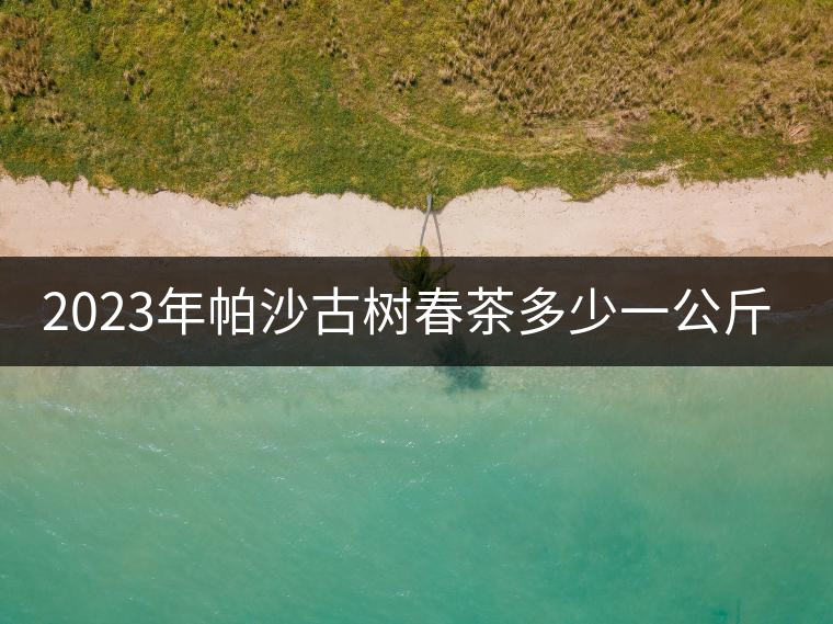 2023年帕沙古樹春茶多少一公斤？