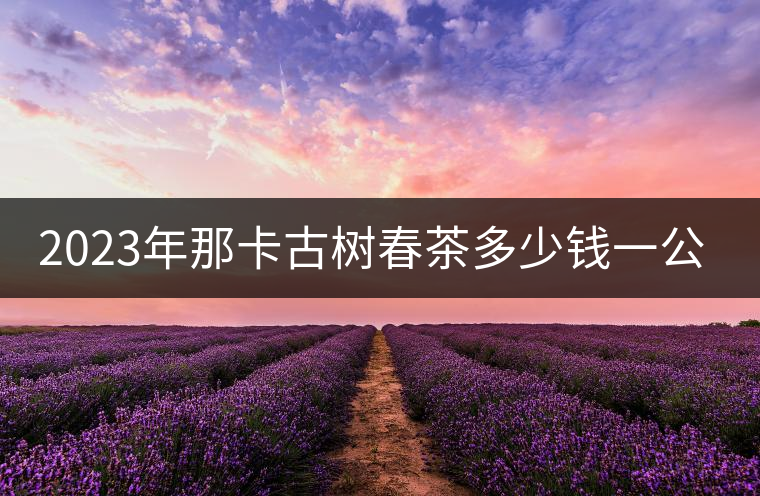 2023年那卡古樹(shù)春茶多少錢一公斤？