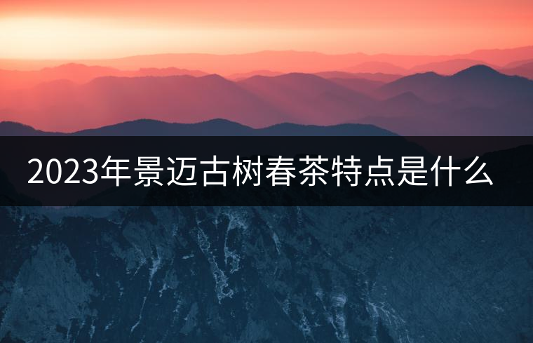 2023年景邁古樹春茶特點是什么？