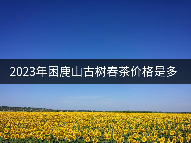 2023年困鹿山古樹春茶價(jià)格是多少？