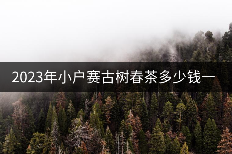 2023年小戶賽古樹(shù)春茶多少錢(qián)一公斤？