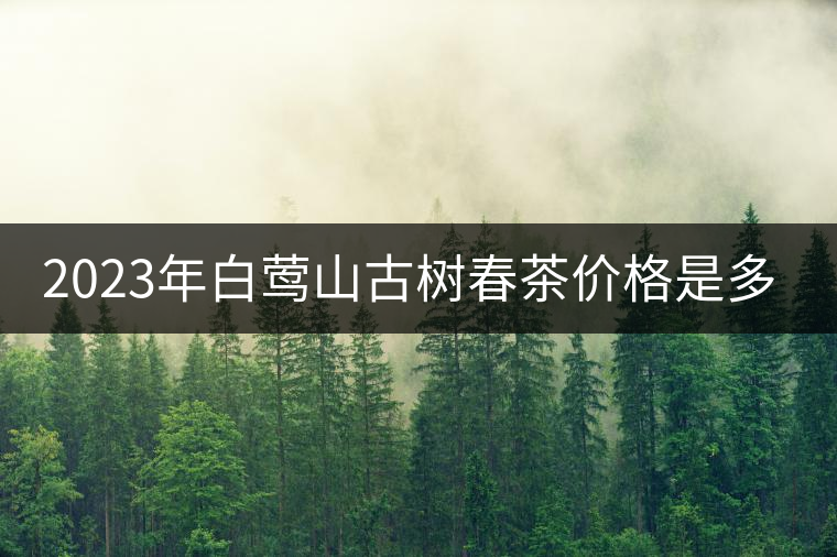 2023年白鶯山古樹(shù)春茶價(jià)格是多少？
