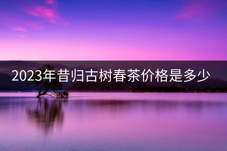 2023年昔歸古樹春茶價格是多少？