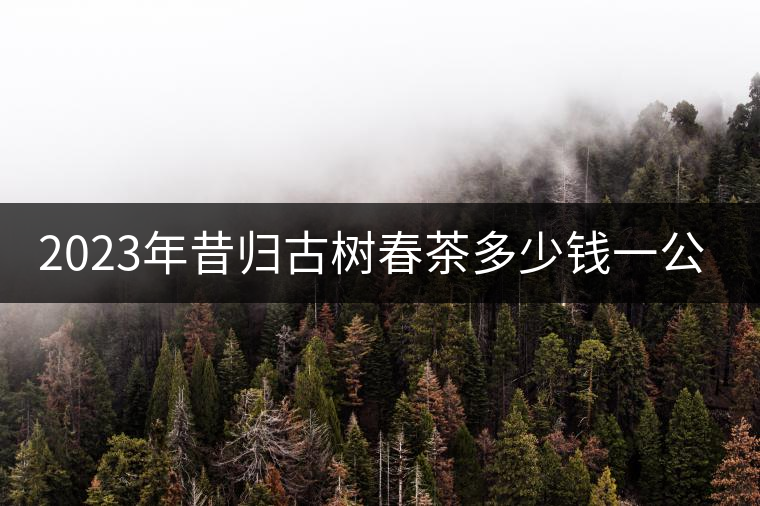 2023年昔歸古樹春茶多少錢一公斤？