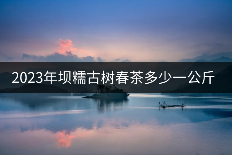 2023年壩糯古樹春茶多少一公斤？