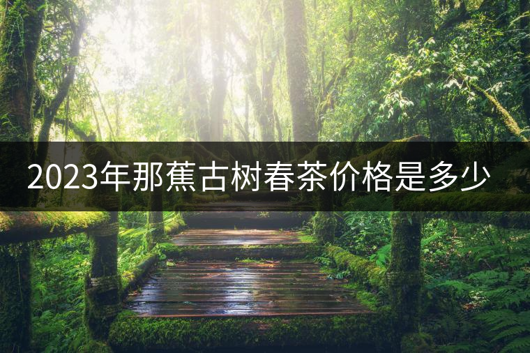 2023年那蕉古樹(shù)春茶價(jià)格是多少? 2023年那蕉古樹(shù)春茶價(jià)格是多少?