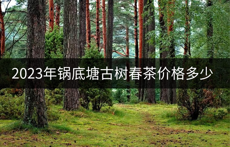 2023年鍋底塘古樹春茶價格多少？