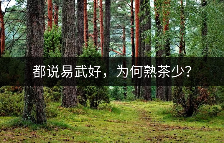 都說(shuō)易武好，為何熟茶少？