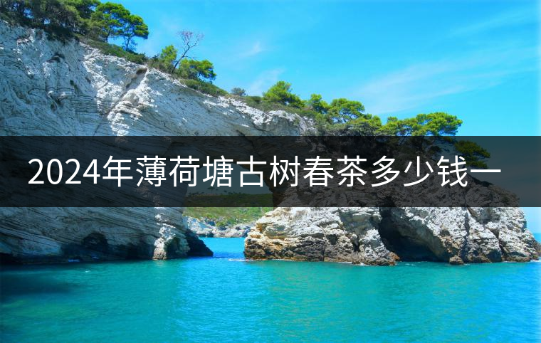 2024年薄荷塘古樹(shù)春茶多少錢一公斤？