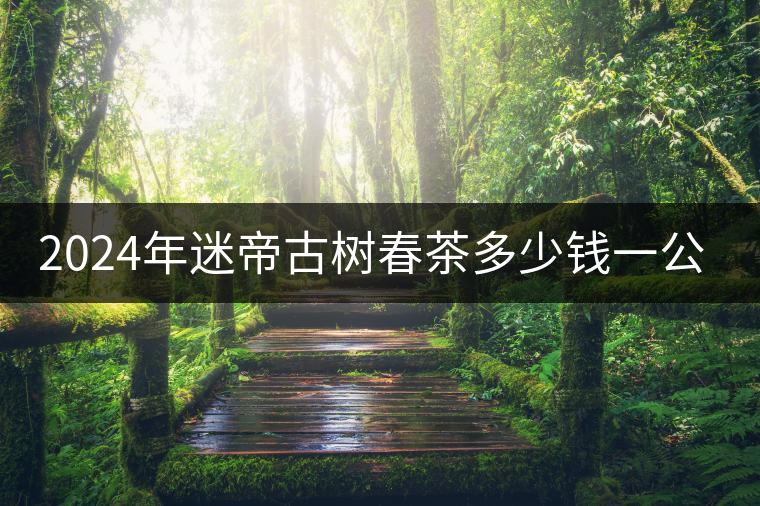 2024年迷帝古樹(shù)春茶多少錢(qián)一公斤？