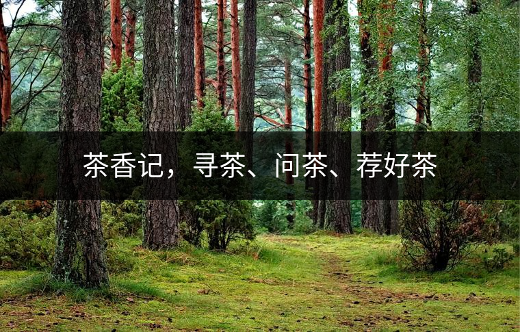 茶香記，尋茶、問茶、薦好茶