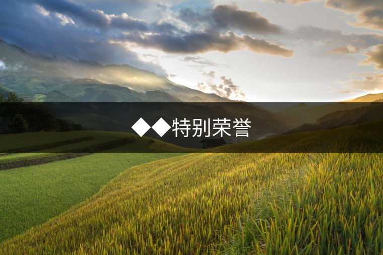 ◆◆特別榮譽(yù)