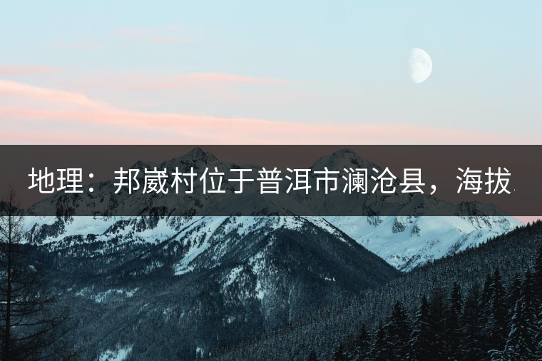 地理：邦崴村位于普洱市瀾滄縣，海拔1800-2000多米，這里的古樹茶被原始森林環(huán)抱，遠(yuǎn)離塵囂污染，沒有農(nóng)藥化肥。