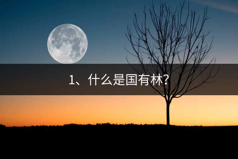 1、什么是國有林？