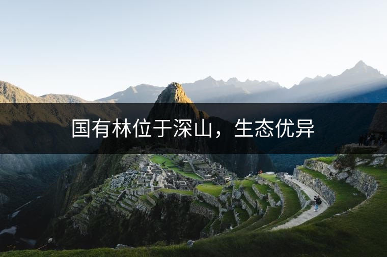 國有林位于深山，生態(tài)優(yōu)異