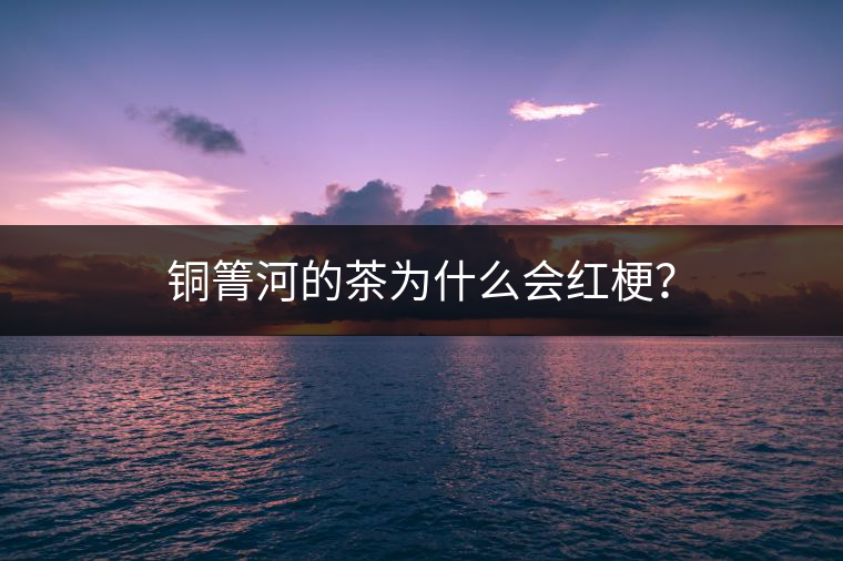 銅箐河的茶為什么會紅梗？