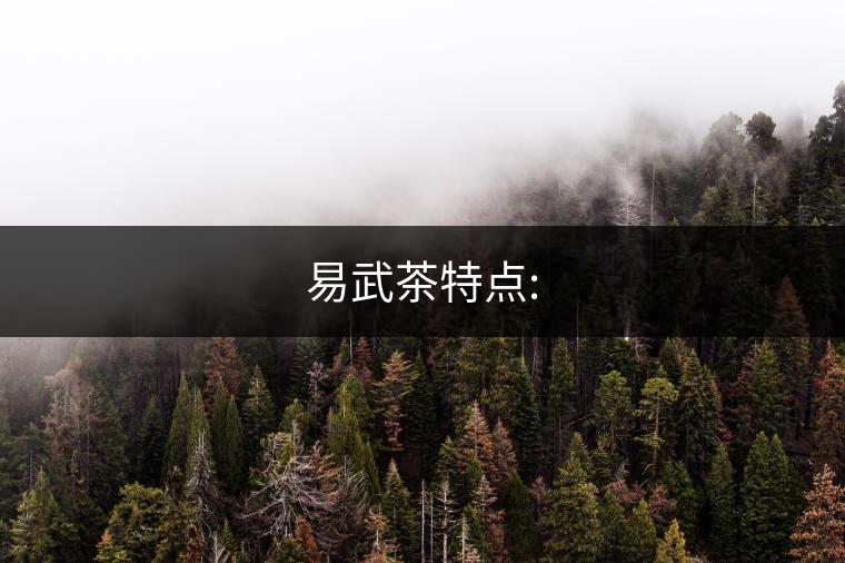 易武茶特點: