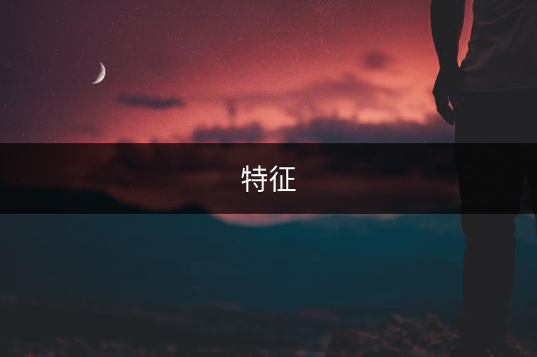 特征 特征