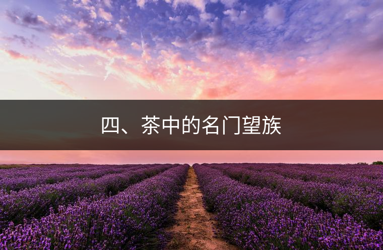 四、茶中的名門望族