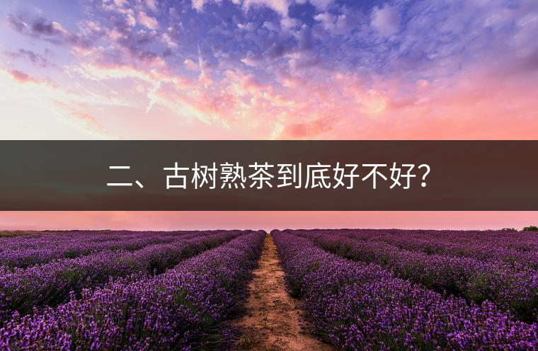 二、古樹熟茶到底好不好？