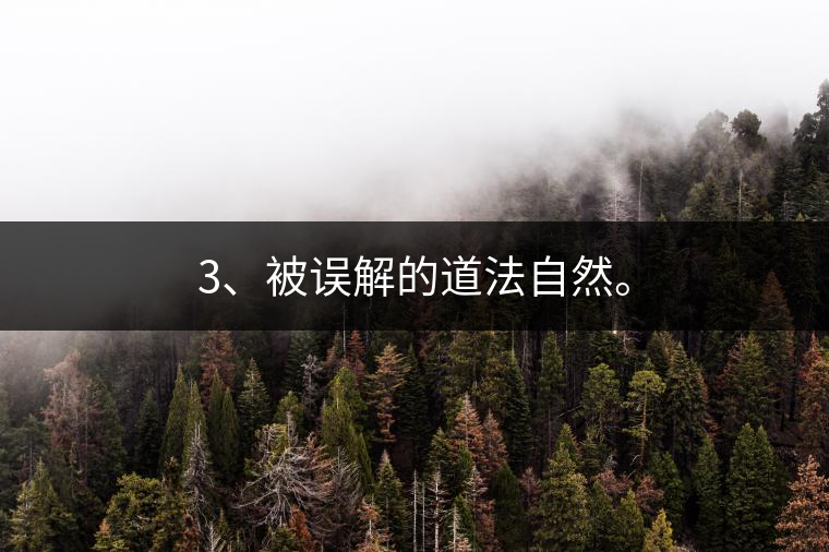 3、被誤解的道法自然。