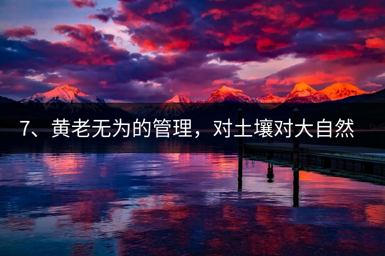 7、黃老無為的管理，對(duì)土壤對(duì)大自然的過渡依賴，對(duì)茶樹根疏忽。