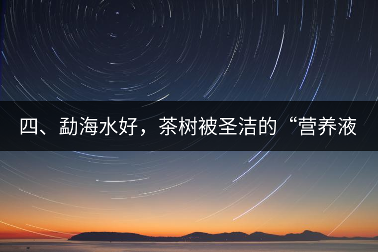 四、勐海水好，茶樹被圣潔的“營(yíng)養(yǎng)液”所滋養(yǎng)