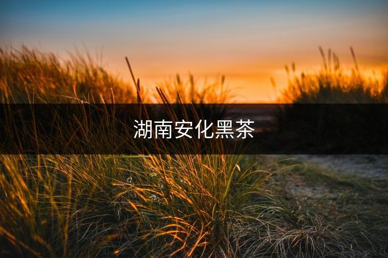 湖南安化黑茶