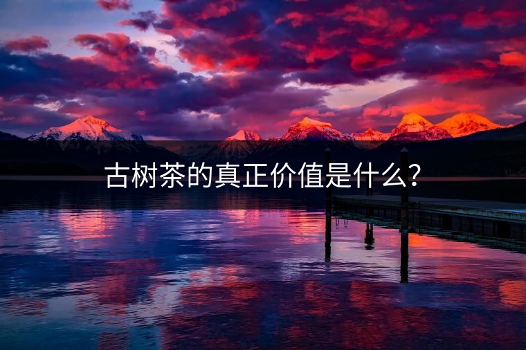 古樹(shù)茶的真正價(jià)值是什么？
