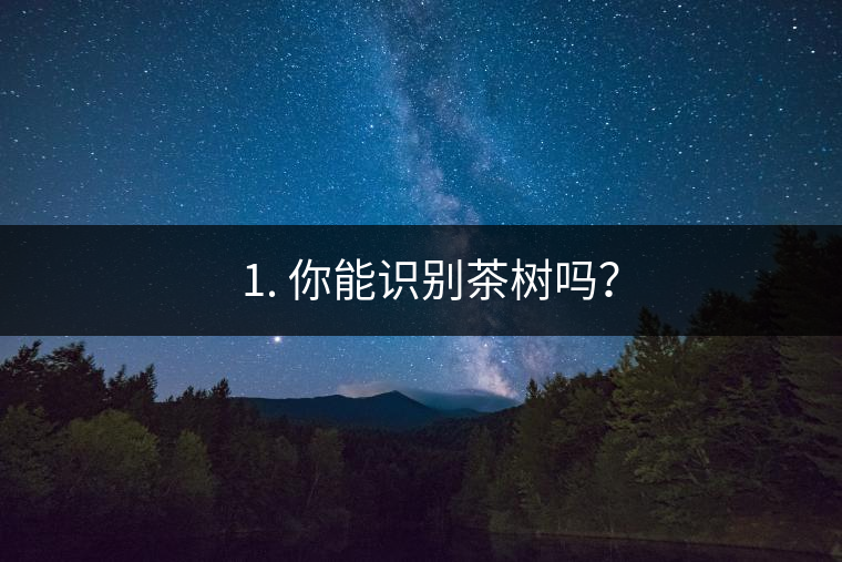 ??1. 你能識別茶樹嗎？
