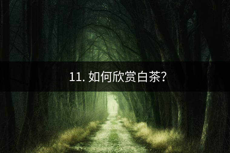 ??11. 如何欣賞白茶？