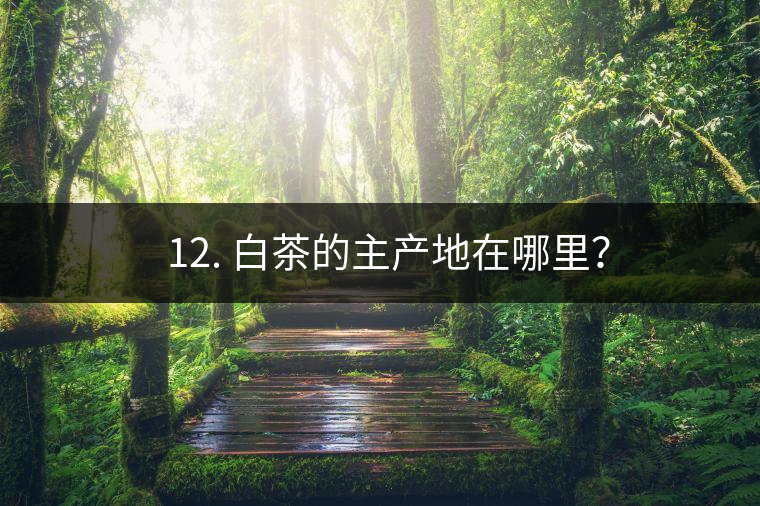 ? 12. 白茶的主產(chǎn)地在哪里？